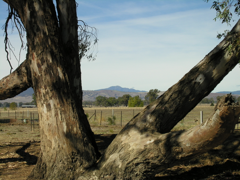 RIVER FRONT FARM - 100 ACRES Picture 2