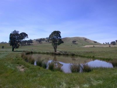 GREAT LOCATION - GREAT VIEWS
REF:827 Picture