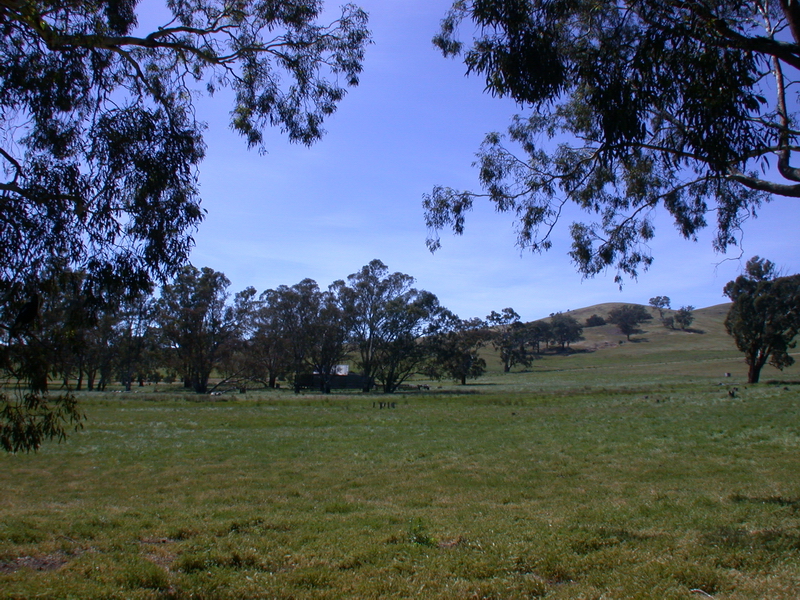 GREAT LOCATION - GREAT VIEWS
REF:827 Picture 3