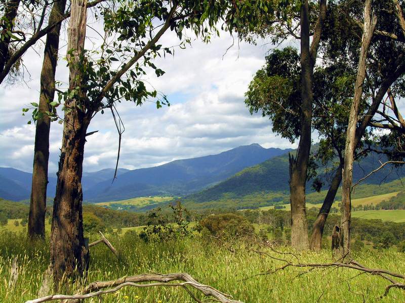 100 ACRES IN MERRIJIG Picture 1