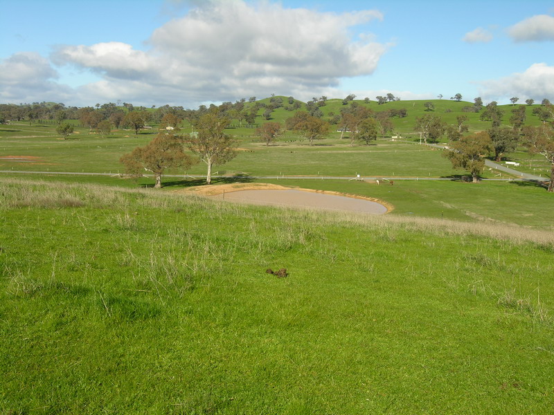 11.5 Acres - Close to Mansfield Township Picture 3