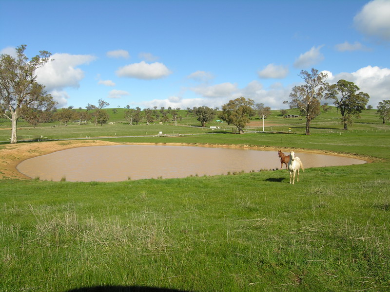 11.5 Acres - Close to Mansfield Township Picture 2