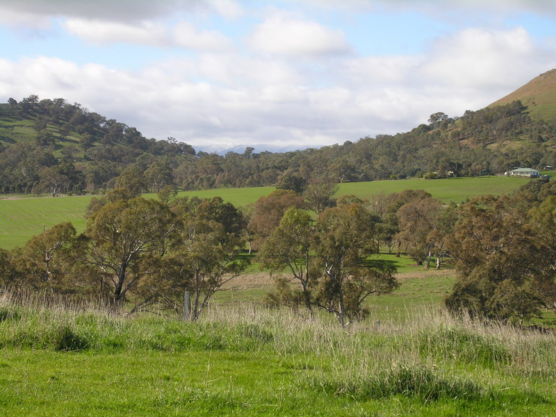 11.5 Acres - Close to Mansfield Township Picture 1