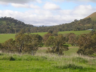 11.5 Acres - Close to Mansfield Township Picture 11.5 Acres - Close to Mansfield Township Picture