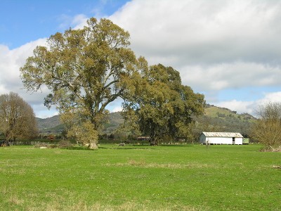 MANSFIELD TOWNSHIP ACREAGE Picture
