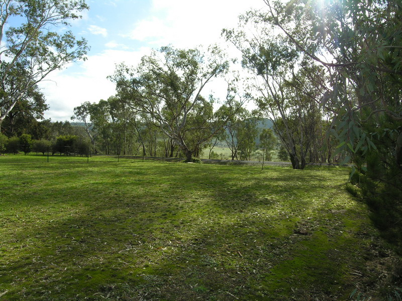 BONNIE DOON - POSITION AND VALUE! Picture 2