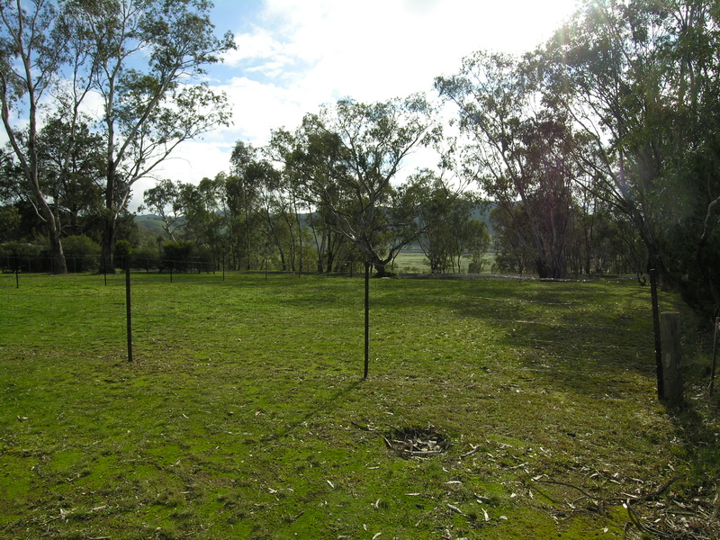 BONNIE DOON - POSITION AND VALUE! Picture 3