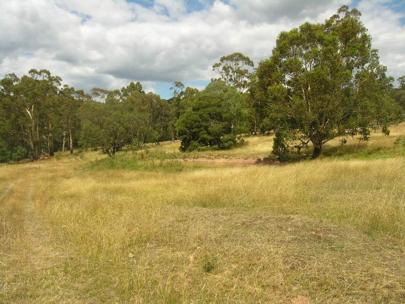 Small Acres Value! Picture 2