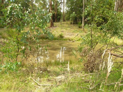 Small Acres Value! Picture