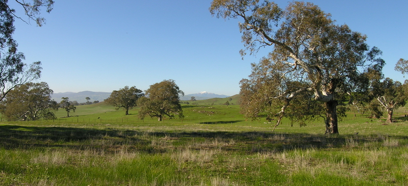 FORGET THE BUSTLE OF CITY LIFE! Picture 2