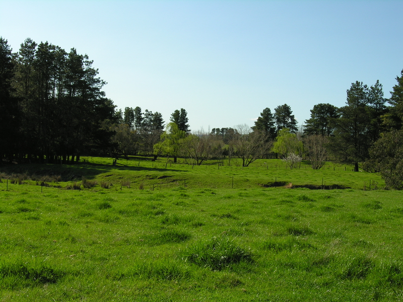 "EMU CREEK" 163 Acres / 65 Hectares Picture 3