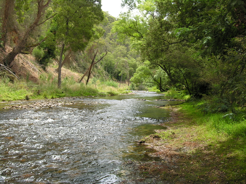 JAMIESON RIVER FRONTAGE Picture 2