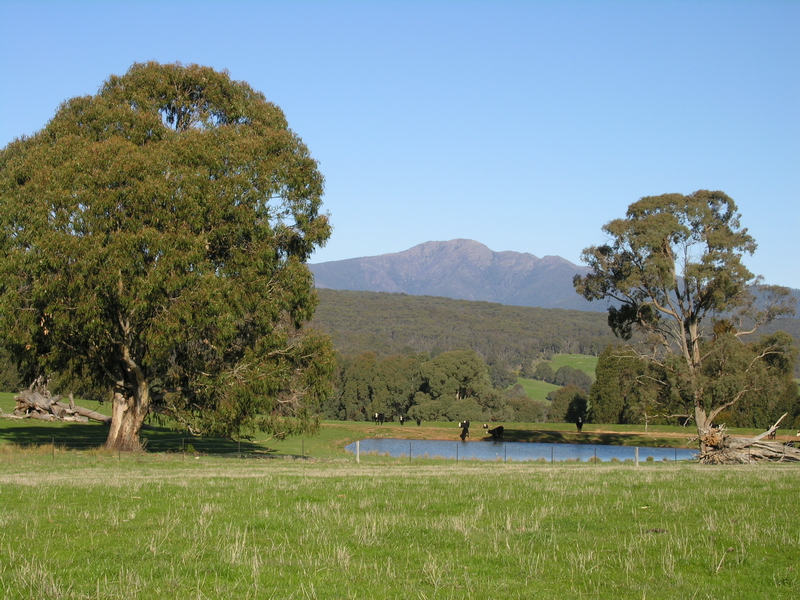 SPECTACULAR MERRIJIG ACREAGE Picture 3