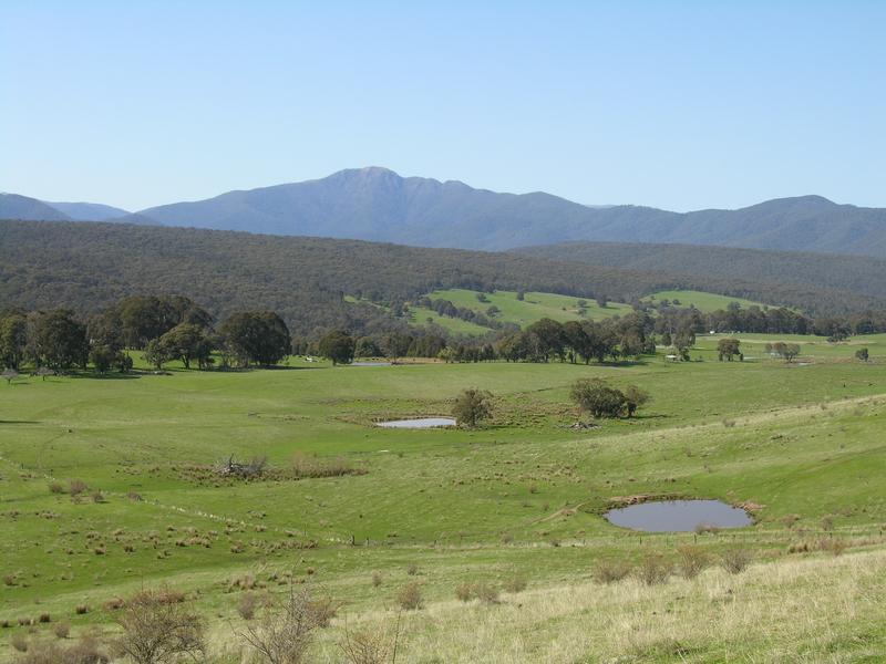 SPECTACULAR MERRIJIG ACREAGE Picture 2