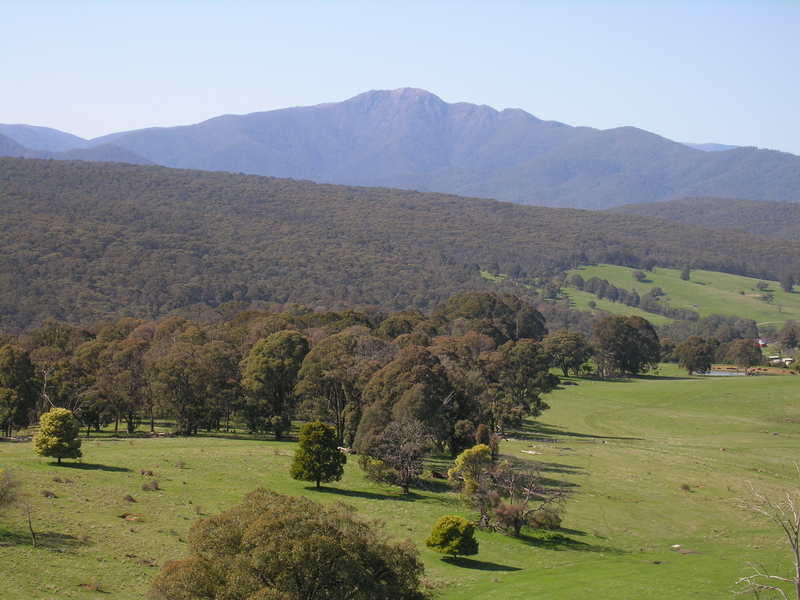 SPECTACULAR MERRIJIG ACREAGE Picture 3