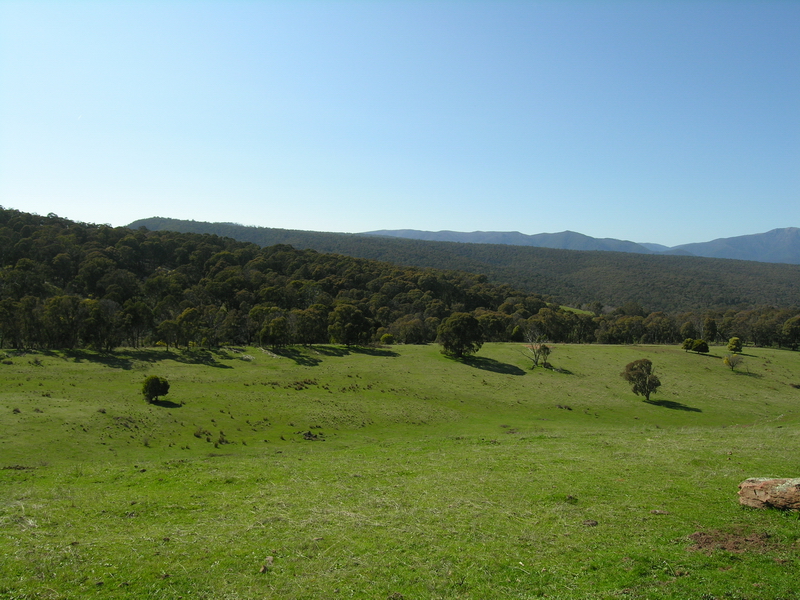 SPECTACULAR MERRIJIG ACREAGE Picture 2