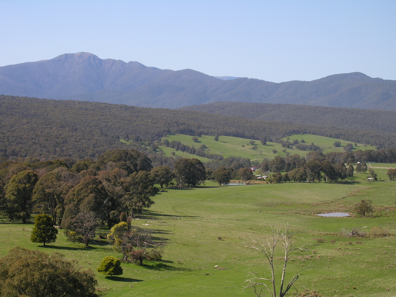 SPECTACULAR MERRIJIG ACREAGE Picture 1