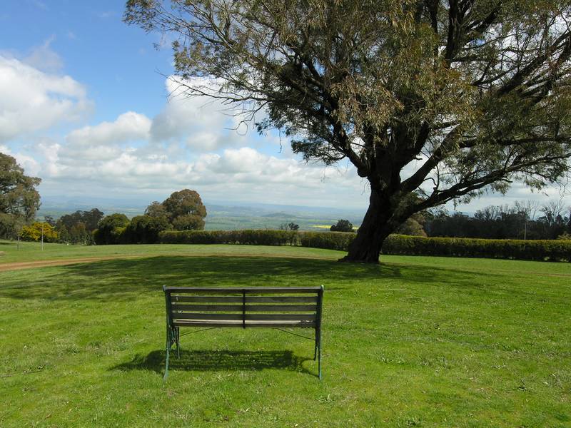 SHERWOODS FOREST Picture 2