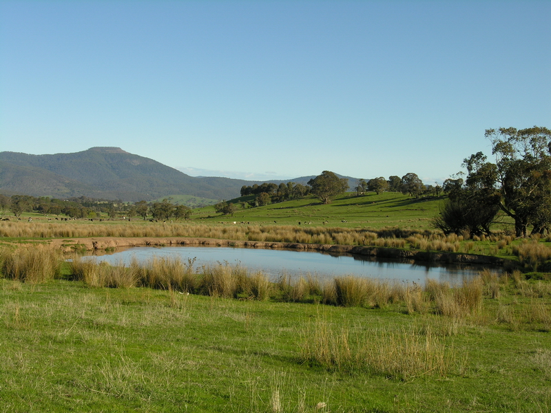 SPECTACULAR MERRIJIG ACREAGE Picture 3