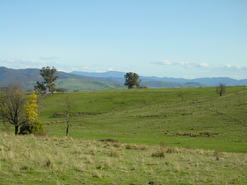SPECTACULAR MERRIJIG ACREAGE Picture 1