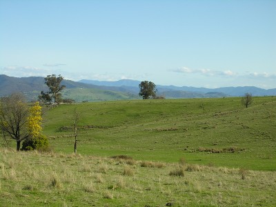 SPECTACULAR MERRIJIG ACREAGE Picture SPECTACULAR MERRIJIG ACREAGE Picture