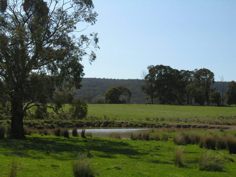 SPECTACULAR MERRIJIG ACREAGE Picture 2