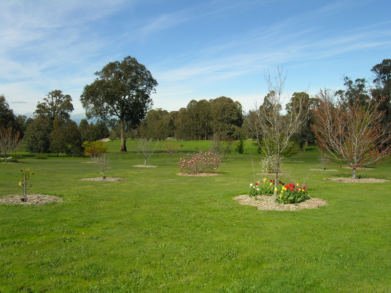 LUXURY HOME - BOUTIQUE ACRES Picture 2