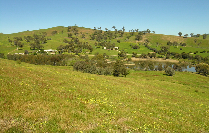 RANGEVIEW PARK - 108 Acres / 44 Hectares - 2 Titles Picture 1