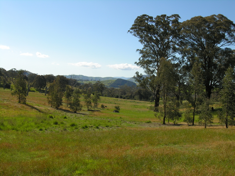 Lifestyle Plus Small Acreage Picture 2