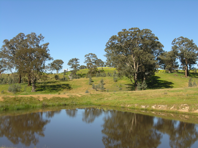 Lifestyle Plus Small Acreage Picture 3