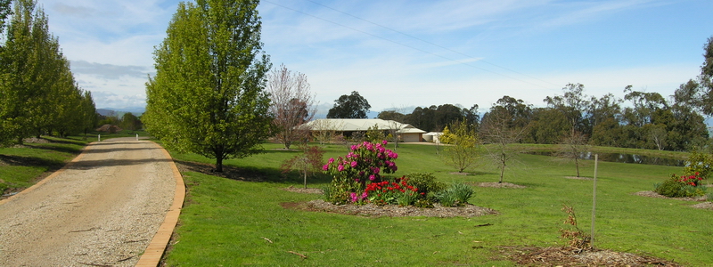 LUXURY HOME - BOUTIQUE 5 ACRES Picture 2