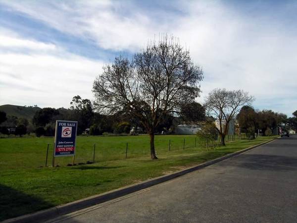 OUTSTANDING INVESTMENT Picture 1