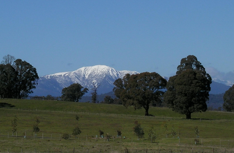 Mountview Park Picture 1