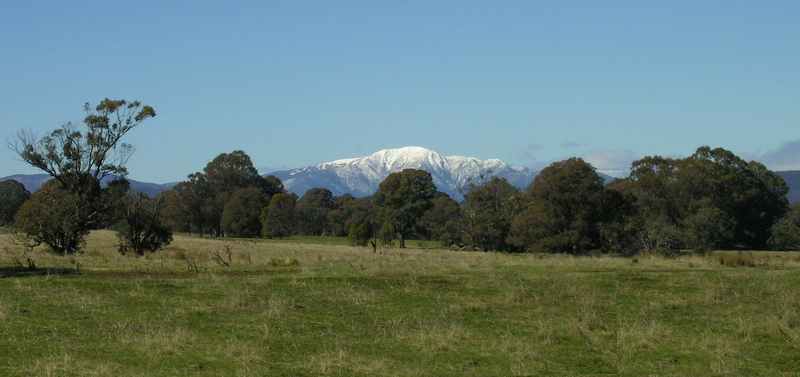 Mountview Park Picture 3