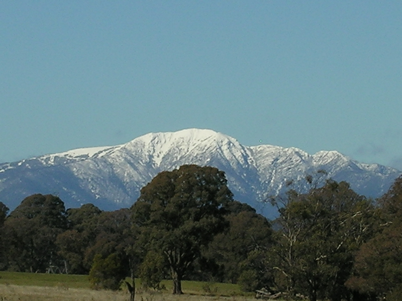 Mountview Park Picture 2