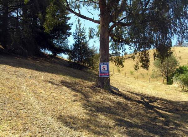 Harbourline Drive Elevated Allotment. Ref: 587 Picture 2