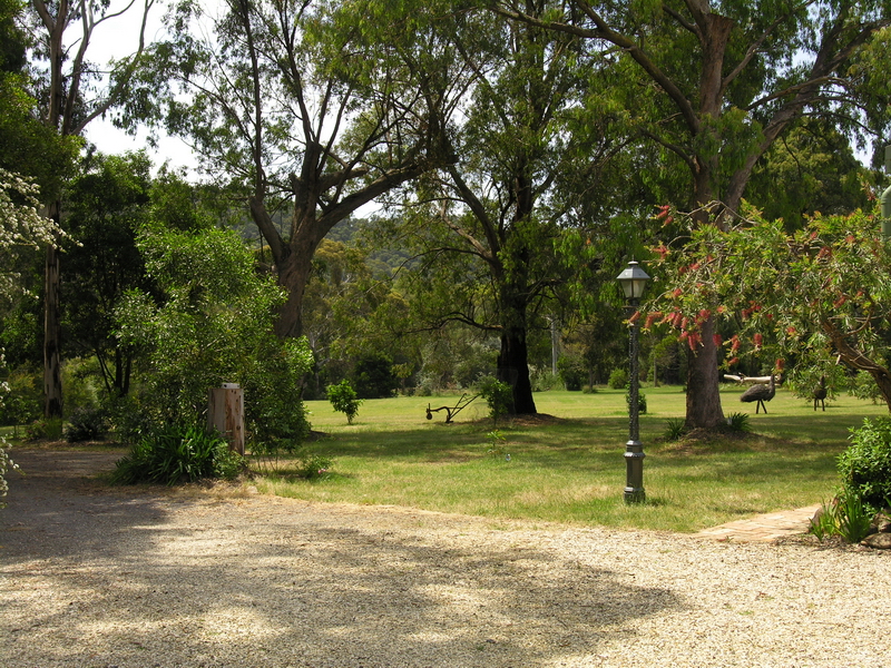 A SLICE OF PARADISE Picture 2