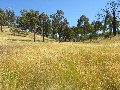 11 ACRES - SO CLOSE TO LAKE EILDON! Picture 11 ACRES - SO CLOSE TO LAKE EILDON! Picture