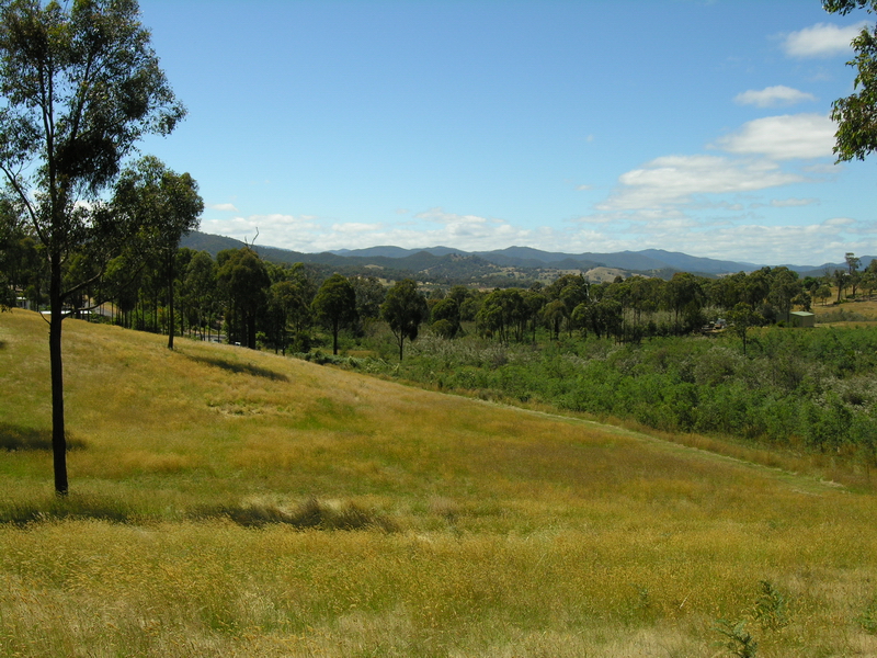 11 ACRES - SO CLOSE TO LAKE EILDON! Picture 1