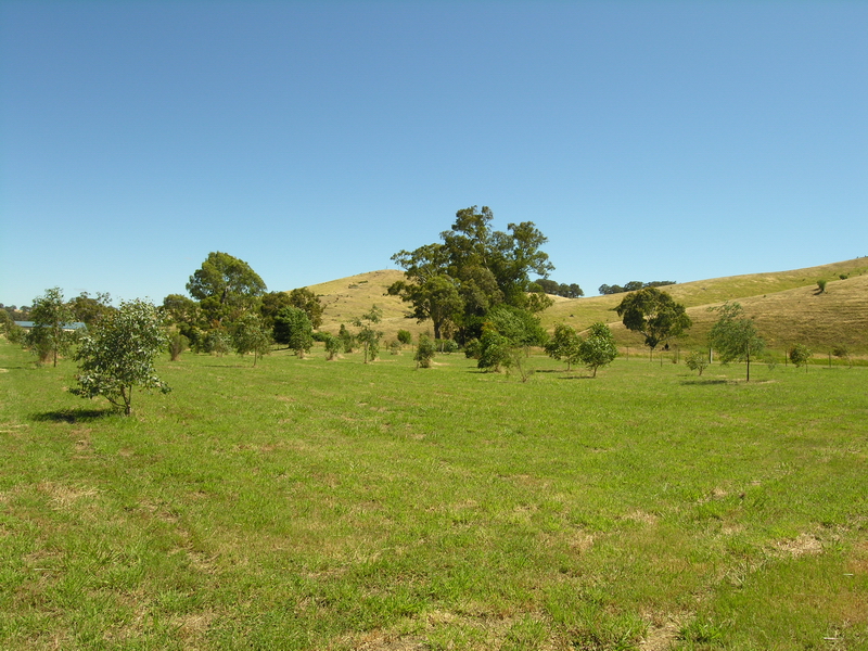 Dreaming of Delatite River Front Acres? Picture 1