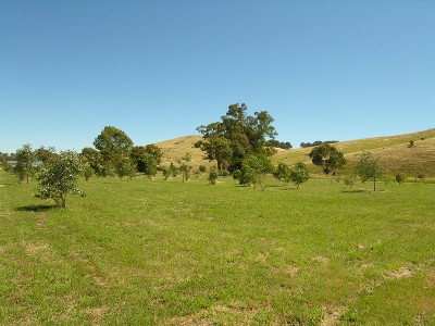 Dreaming of Delatite River Front Acres? Picture