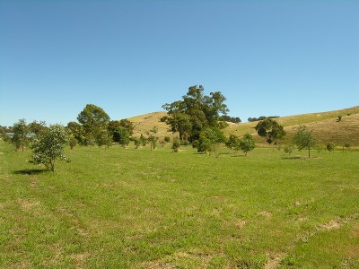 Dreaming of Delatite River Front Acres? Picture Dreaming of Delatite River Front Acres? Picture