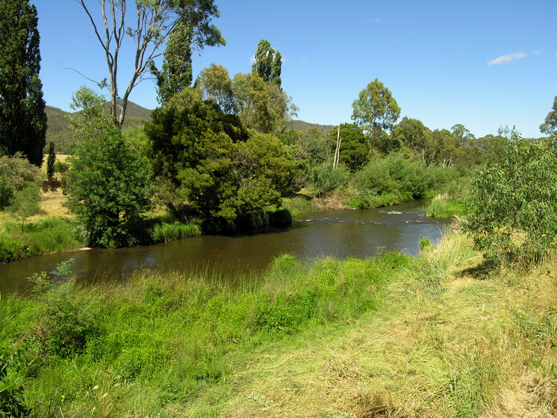 Dreaming of Delatite River Front 15 Acres? Picture 3