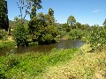 Dreaming of Delatite River Front 15 Acres? Picture