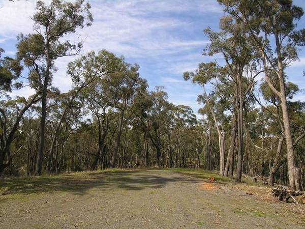 THE GREAT ESCAPE - Ref: 557 Picture 2