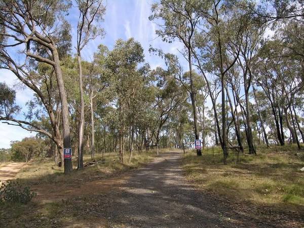 THE GREAT ESCAPE - Ref: 557 Picture 1