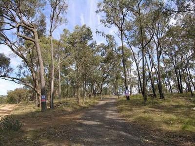 THE GREAT ESCAPE - Ref: 557 Picture