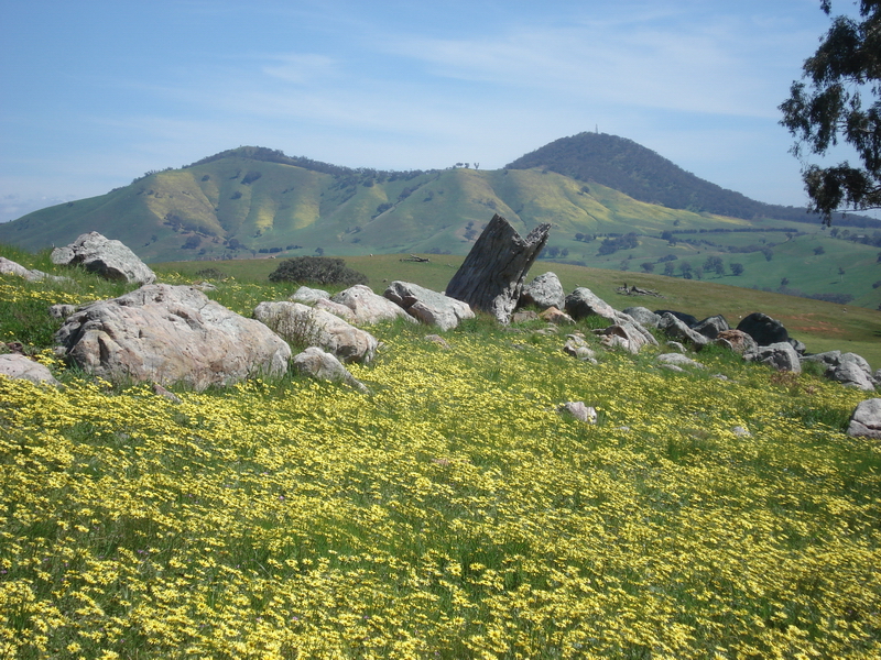 LIFESTYLE ELEGANCE WITH SPECTACULAR VIEWS Picture 2