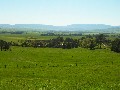 100 ACRES FARM WITH VIEWS TO SET YOUR HEART RACING Picture 100 ACRES FARM WITH VIEWS TO SET YOUR HEART RACING Picture
