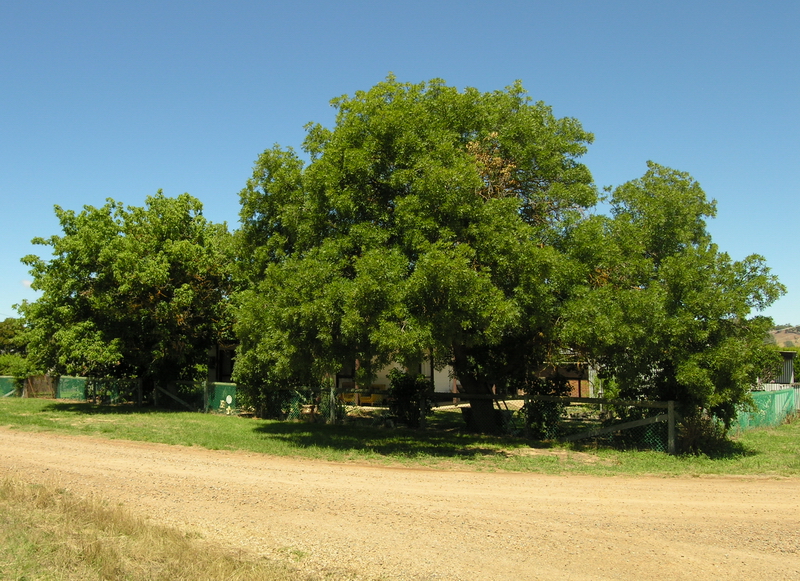 QUIET COUNTRY LOCATION - CHARMING SETTING Picture 2